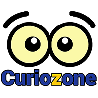 www.curiozone.com.br